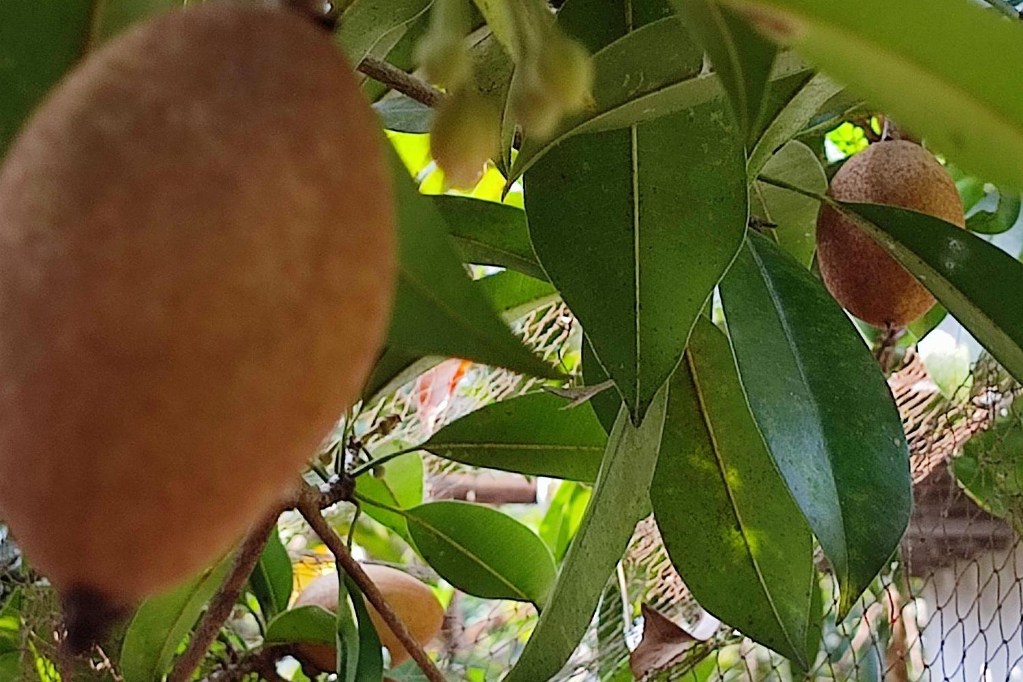 Vivaresidence Homestay Alappuzha Bagian luar foto