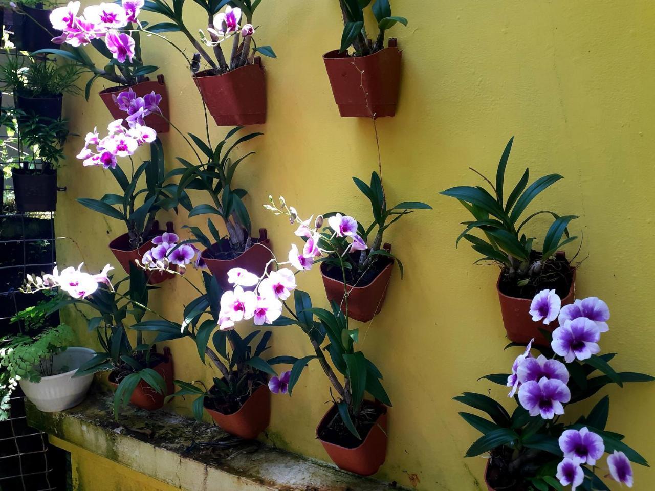 Vivaresidence Homestay Alappuzha Bagian luar foto