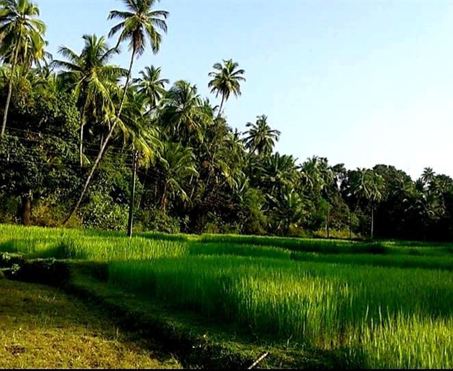Vivaresidence Homestay Alappuzha Bagian luar foto